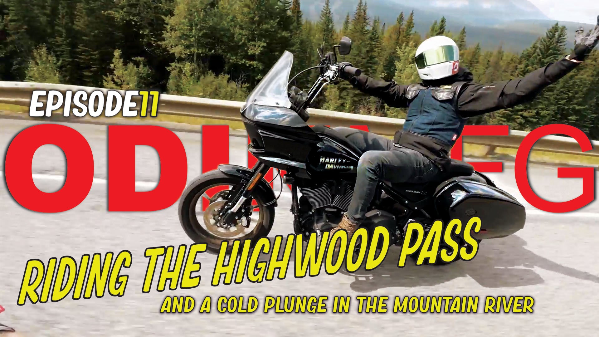 Odin Mfg Official Store - High Quality High Demands